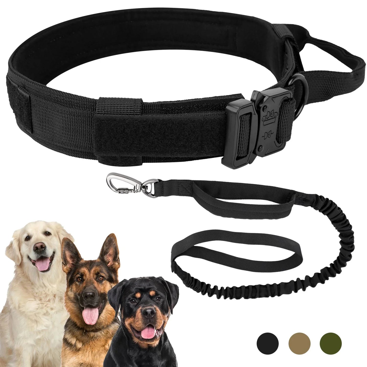 Dog Collars
