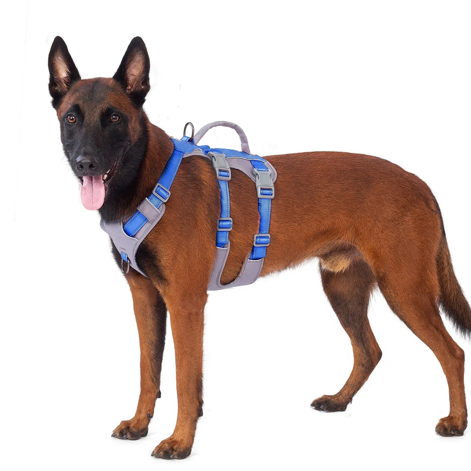 Harnesses