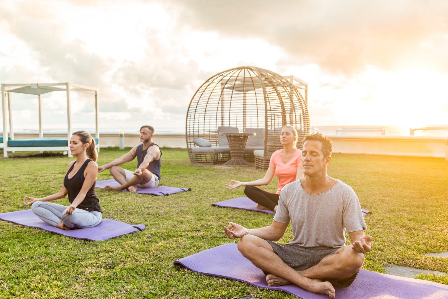 Health and Wellness