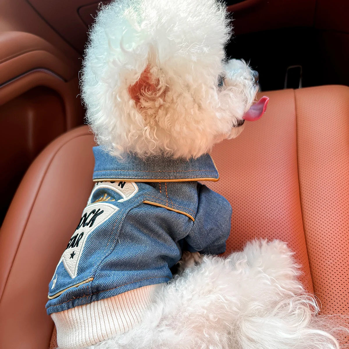 Rock Embroidery Blue Jacket Pet Clothes Dog Cat Spring Handsome Out Traction Clothes